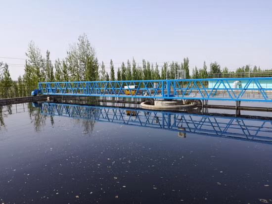 Peripheral Drive Sludge Scraper Sewage Treatment Equipment in Secondary Sedimentation for Tank Industrial and Domestic Waste Water